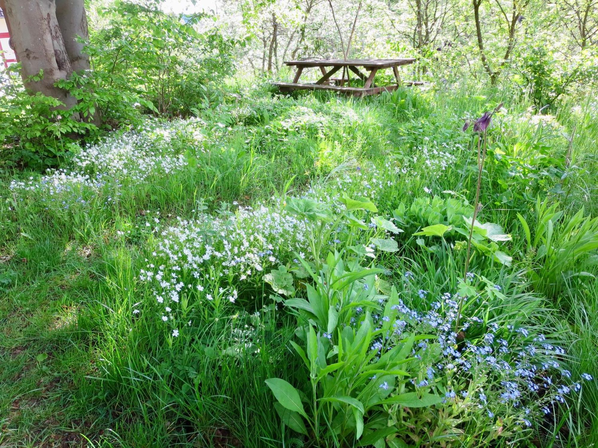 Natururlaub Frankenau Bagian luar foto
