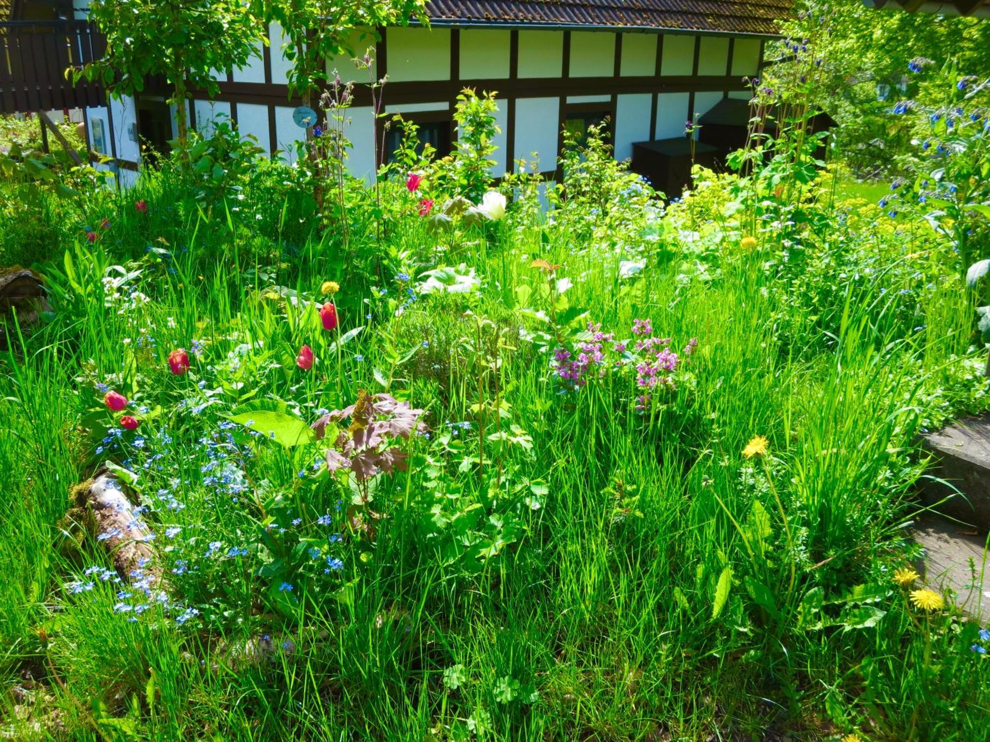 Natururlaub Frankenau Bagian luar foto