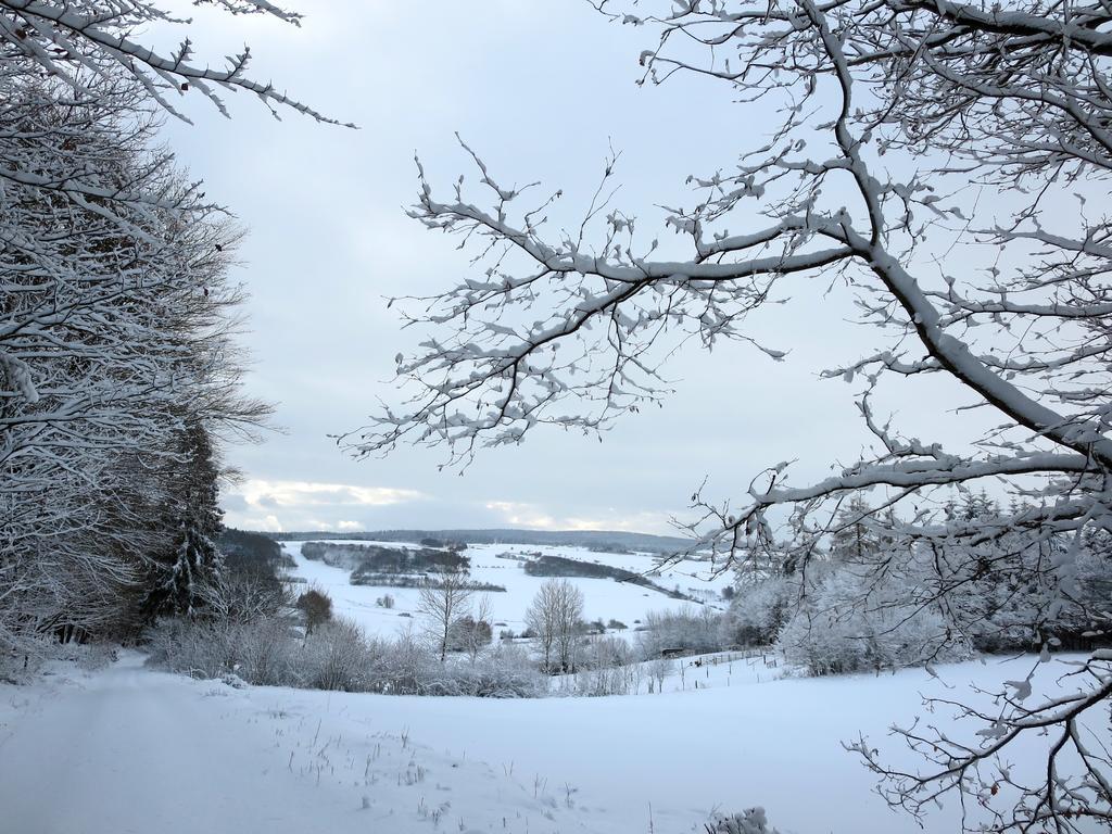 Natururlaub Frankenau Bagian luar foto