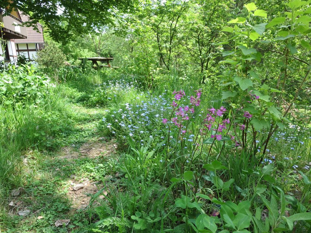 Natururlaub Frankenau Bagian luar foto