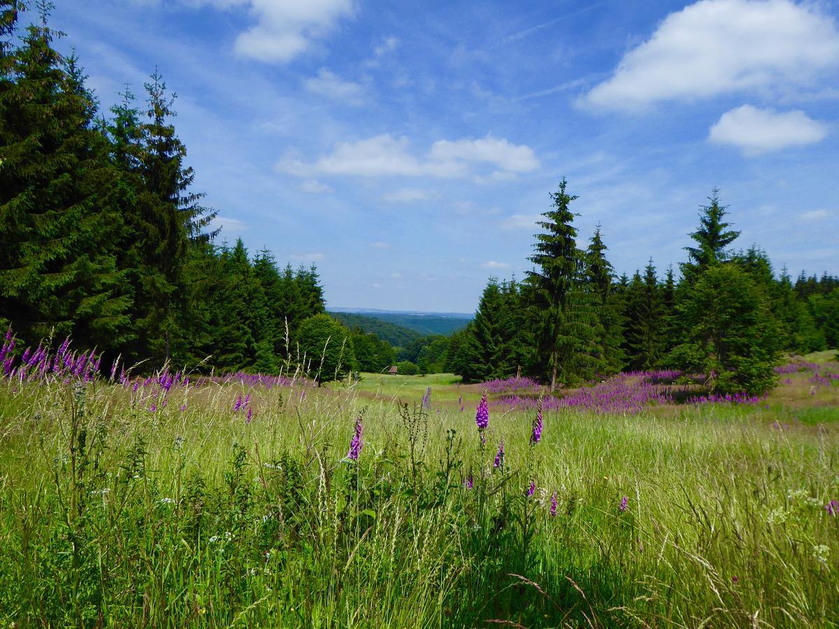 Natururlaub Frankenau Bagian luar foto
